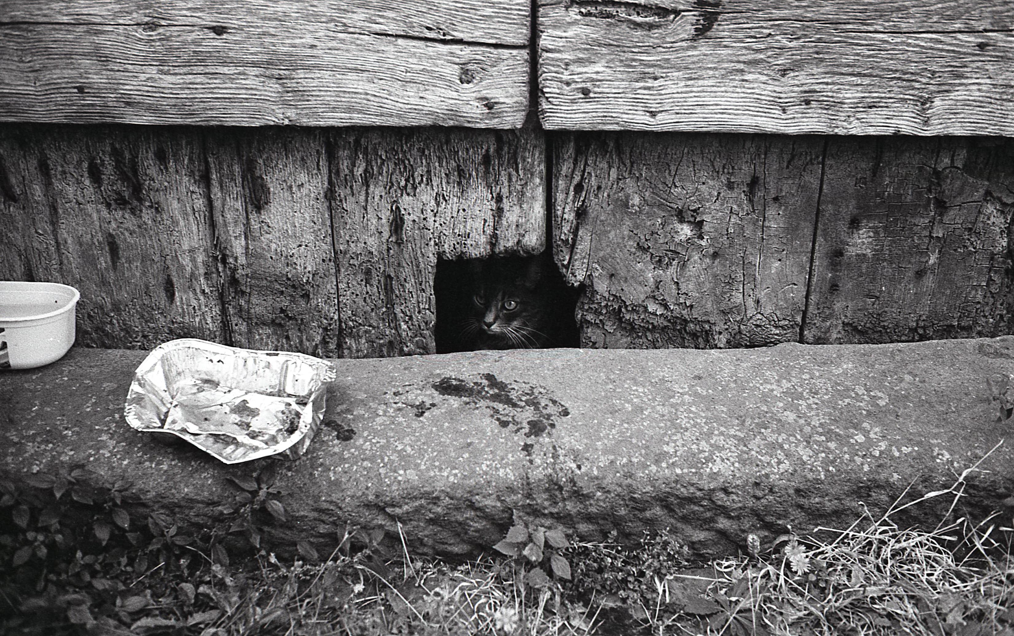 Hidden