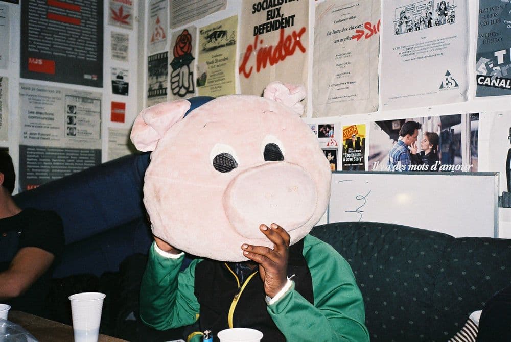 Pig