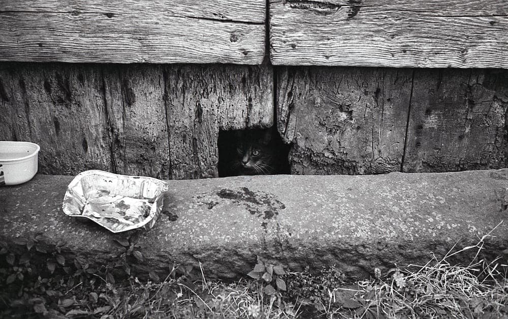 Hidden